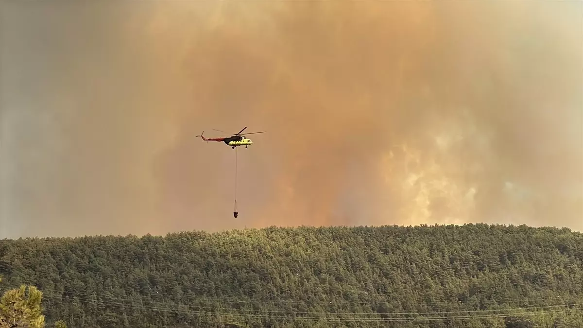 alanyada orman yangini mahalle bosaltildi cmlvjBc2
