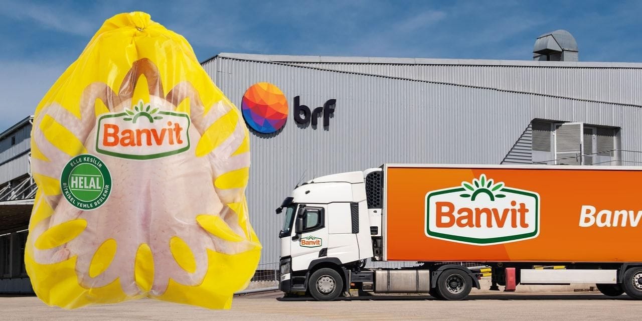 beyaz et devi banvite dev ceza DePl2JQ5