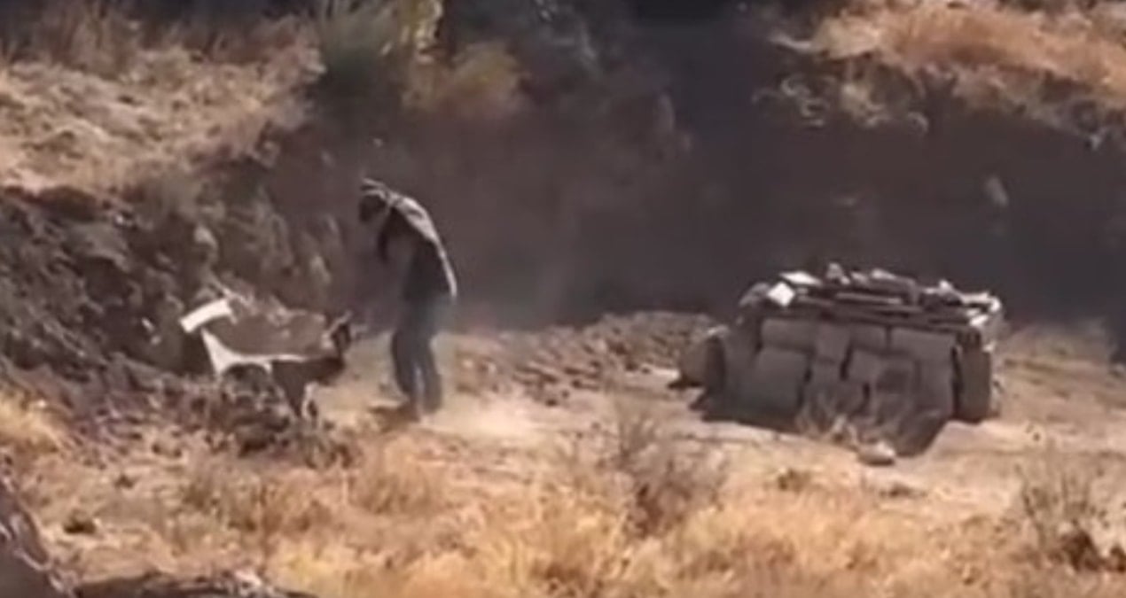 yavru kopege eziyet saniye saniye kaydedildi 1HI1elQe