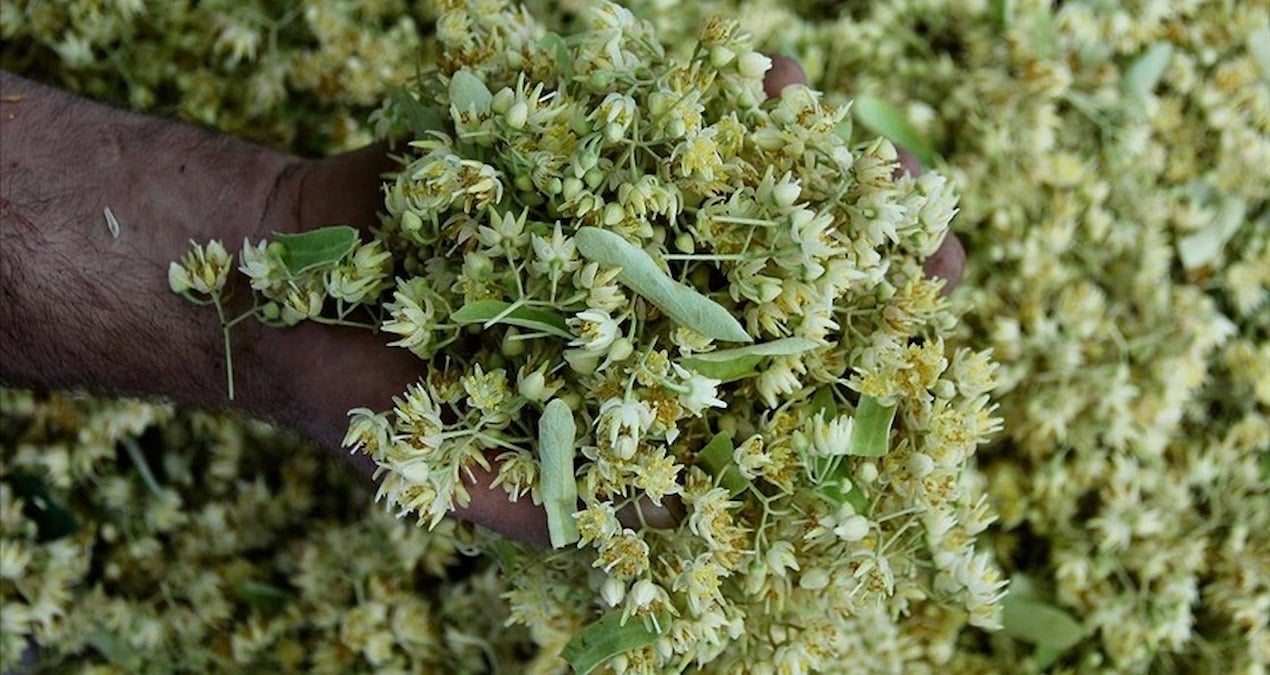 degeri altinla yarisiyor ama sonbahar geldi kapis kapis satiliyor kahMb3BS.jpg