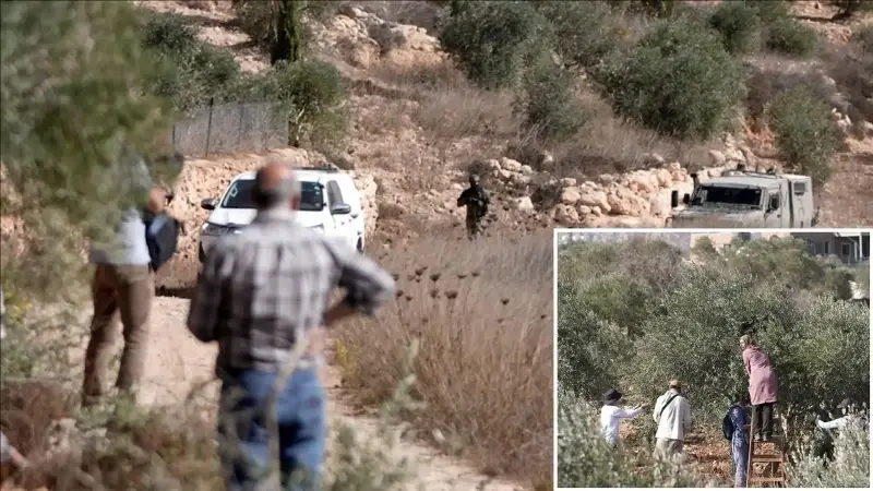 hamas bati seriadaki ciftcilere yonelik saldirilar orgutlu teror politikasidir AwrDfu8g.webp