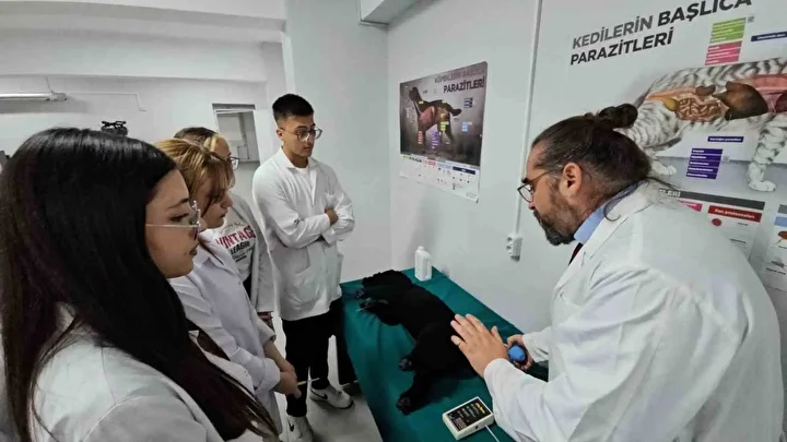 Veteriner Sağlık Eğitim Laboratuvarı