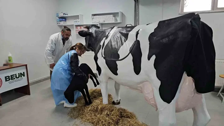 Veteriner Simülatörleri