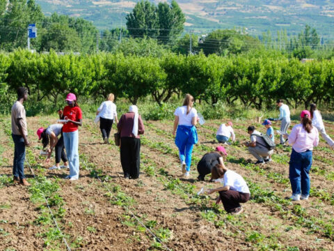 Toguden dunya genclerine anadolu kapisi 15 ulkeden ogrenci tokatta bulustu DzcdDcdA